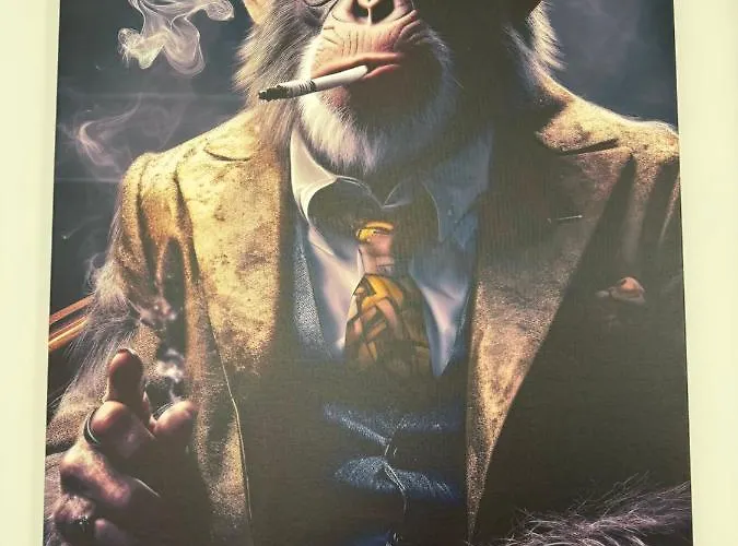 Chicago קטוביץ